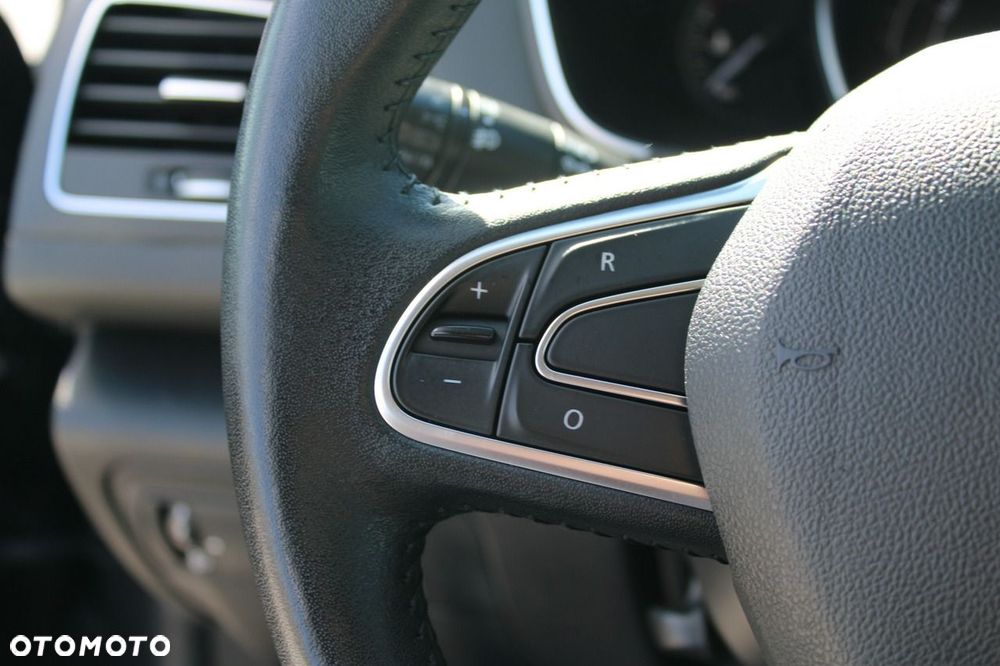 Renault Megane - 24