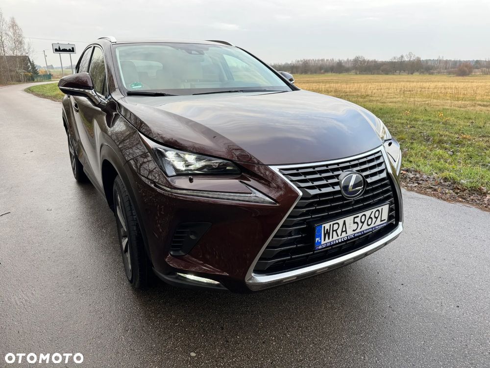 Lexus NX 300h F Impression AWD - 9