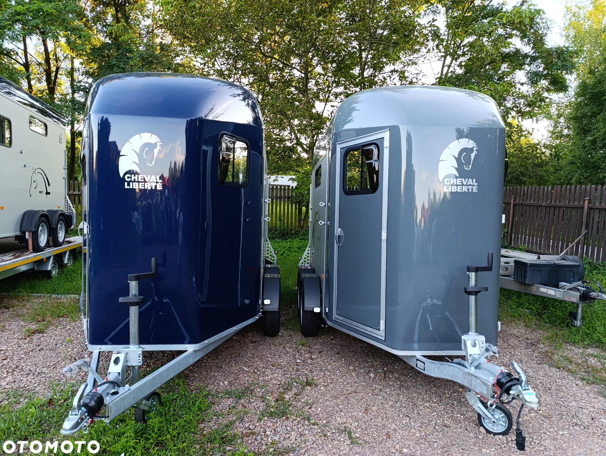 Cheval Liberte GOLD ORIGINS - 6