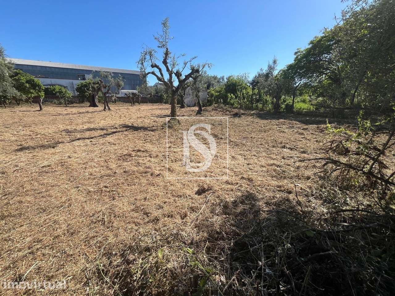 Terreno Urbano - Rossio ao Sul do Tejo - Abrantes - Grande imagem: 3/9