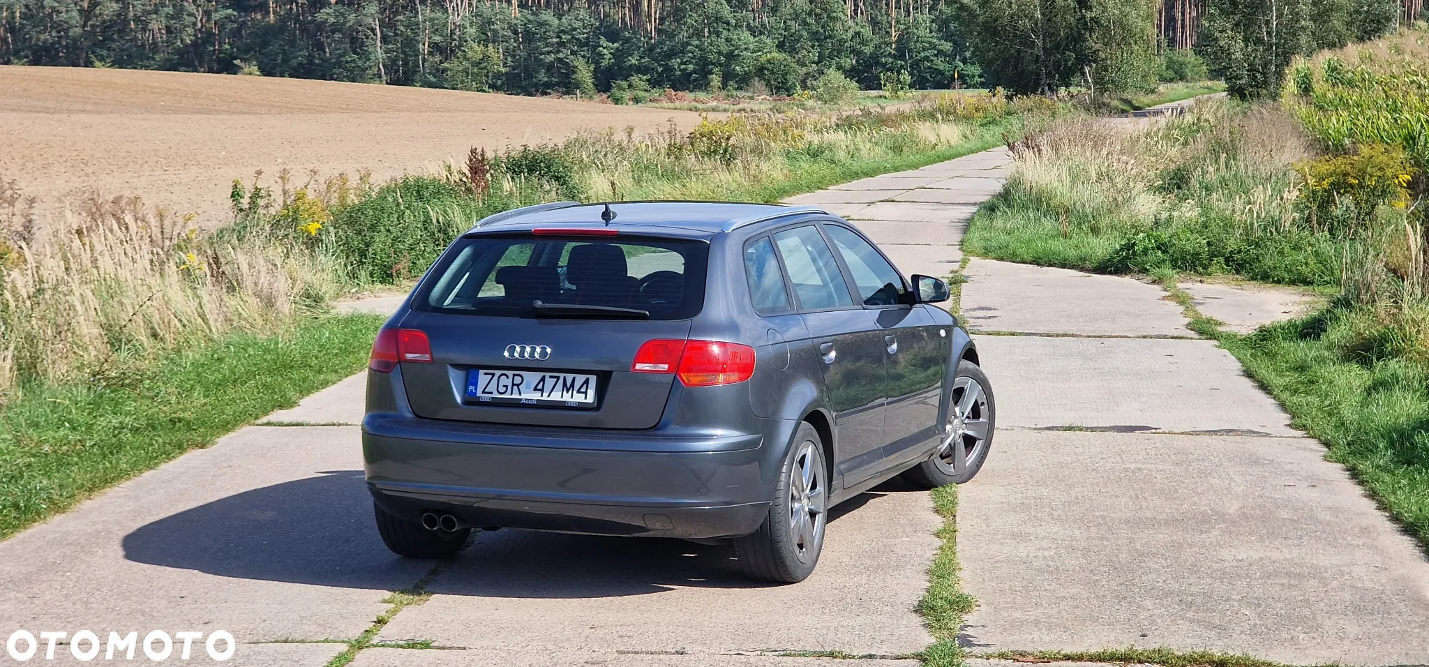 Audi A3 - 4