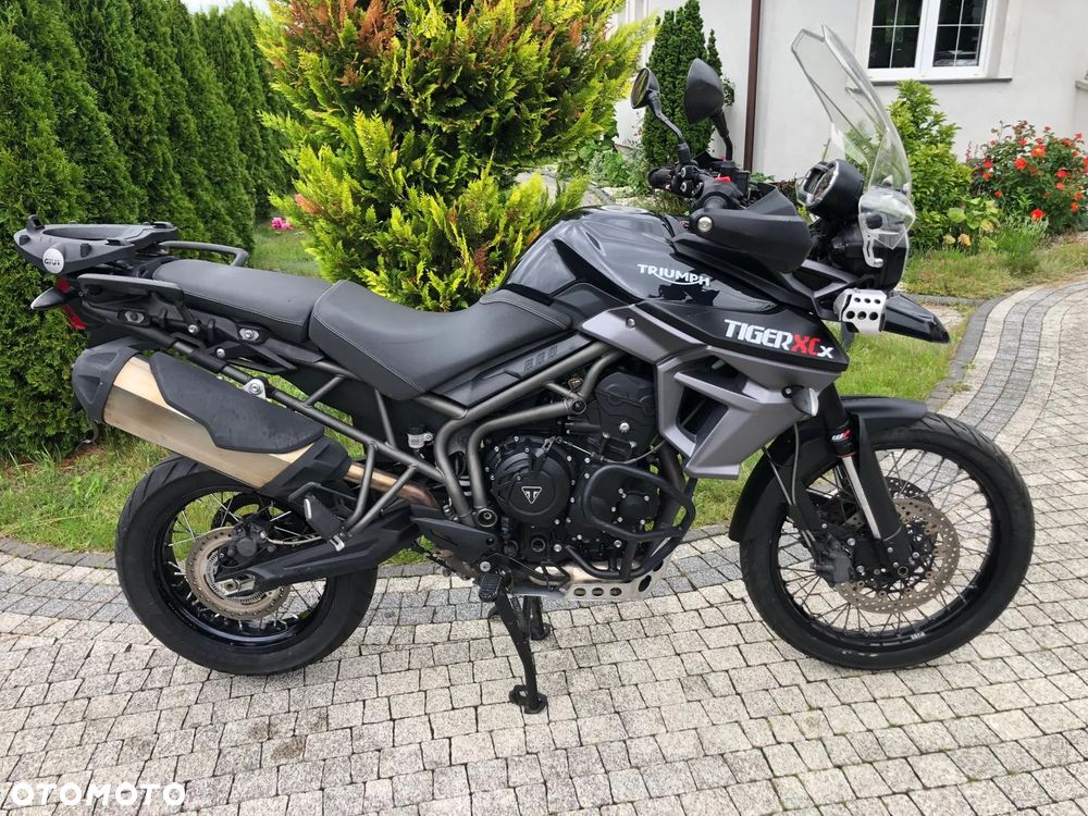 Triumph Tiger - 10