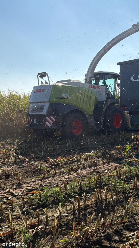 Claas Jaguar 970 - 2