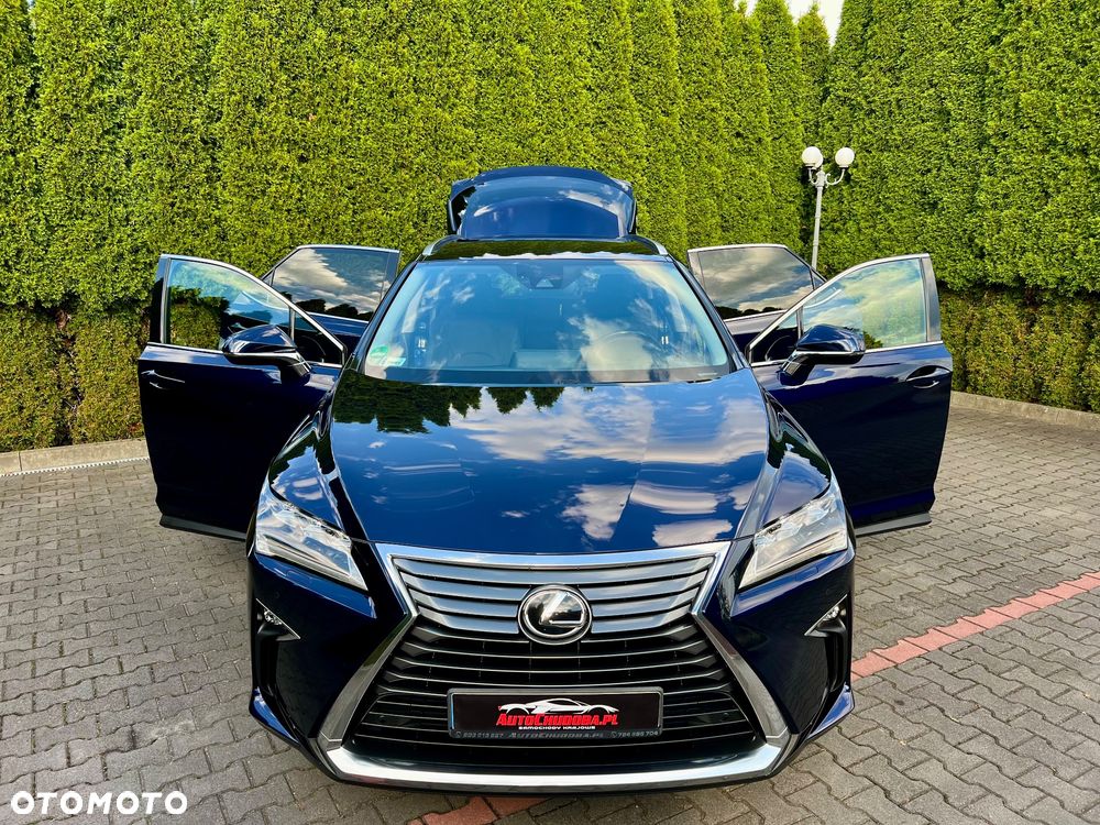 Lexus RX 200t / 300 GPF Elite - 7