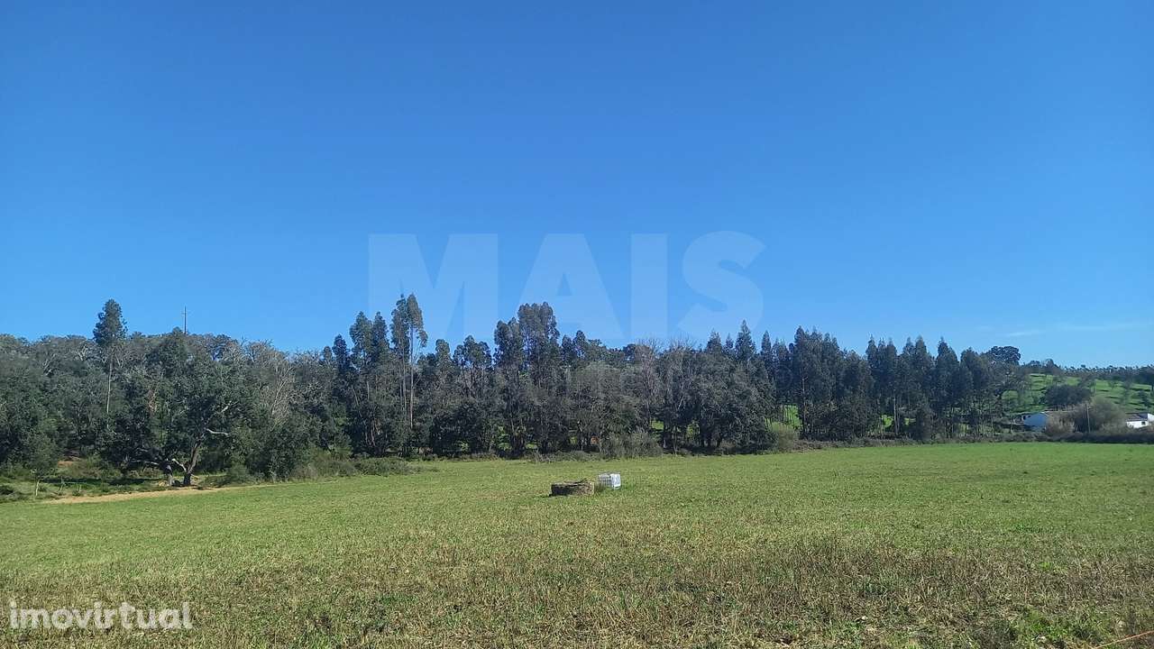 Herdade de 30 hectares em Cercal do Alentejo, Santiago do Cacém, Se... - Grande imagem: 5/29