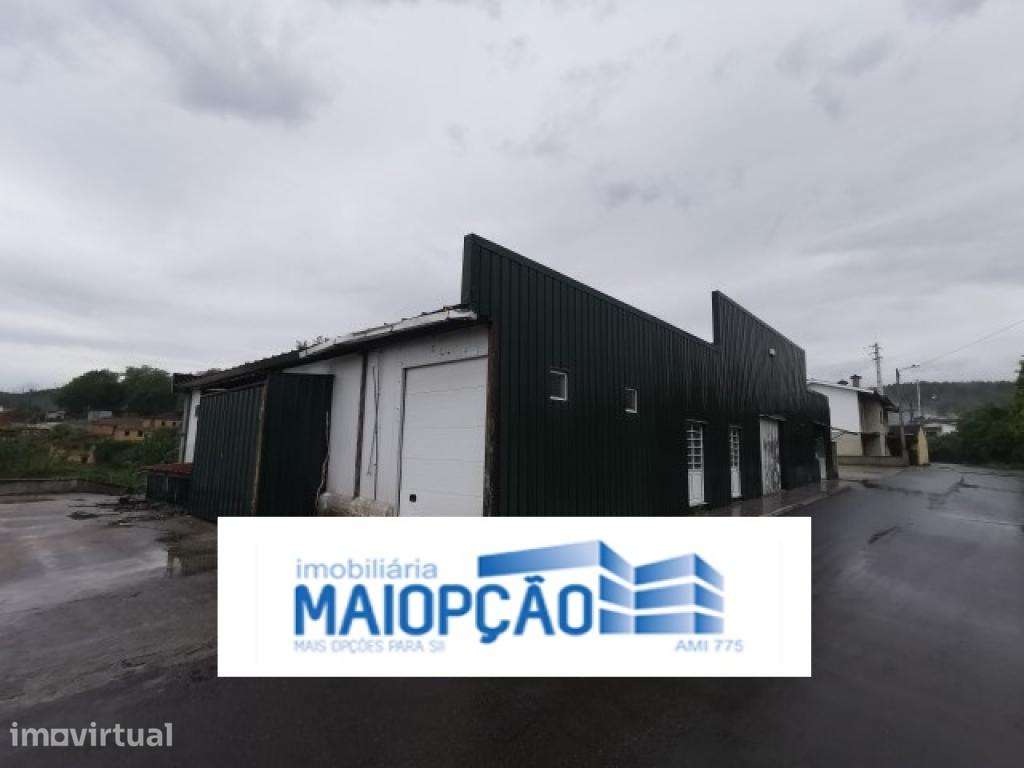 armazem em préstimo e macieira de alcoba - Grande imagem: 2/43