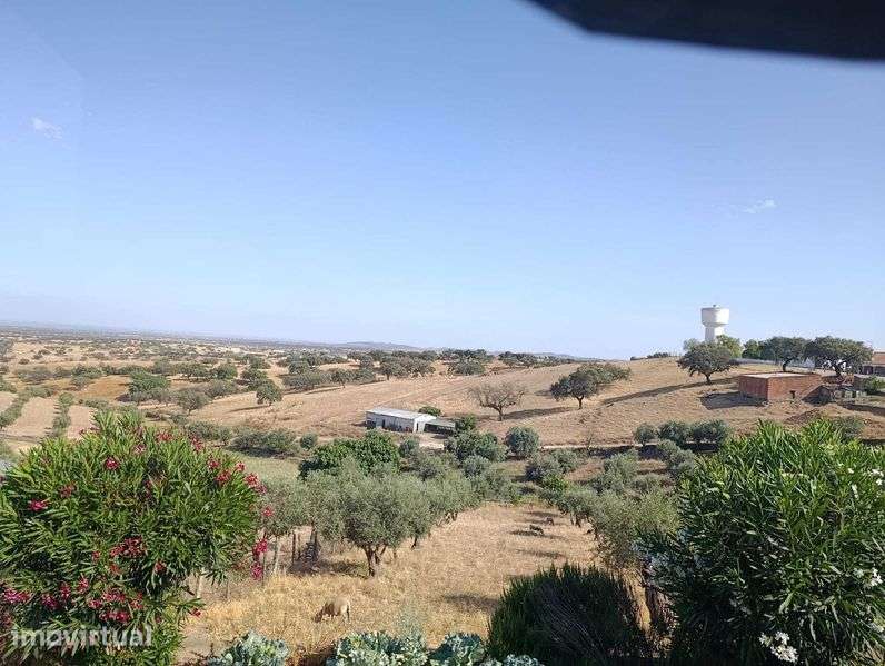 Restaurante/Café para Arrendamento no Coração do Alentejo - Grande imagem: 2/8
