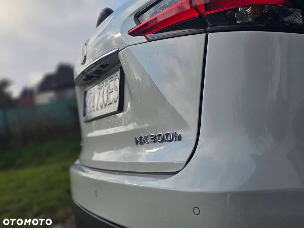 Lexus NX - 6