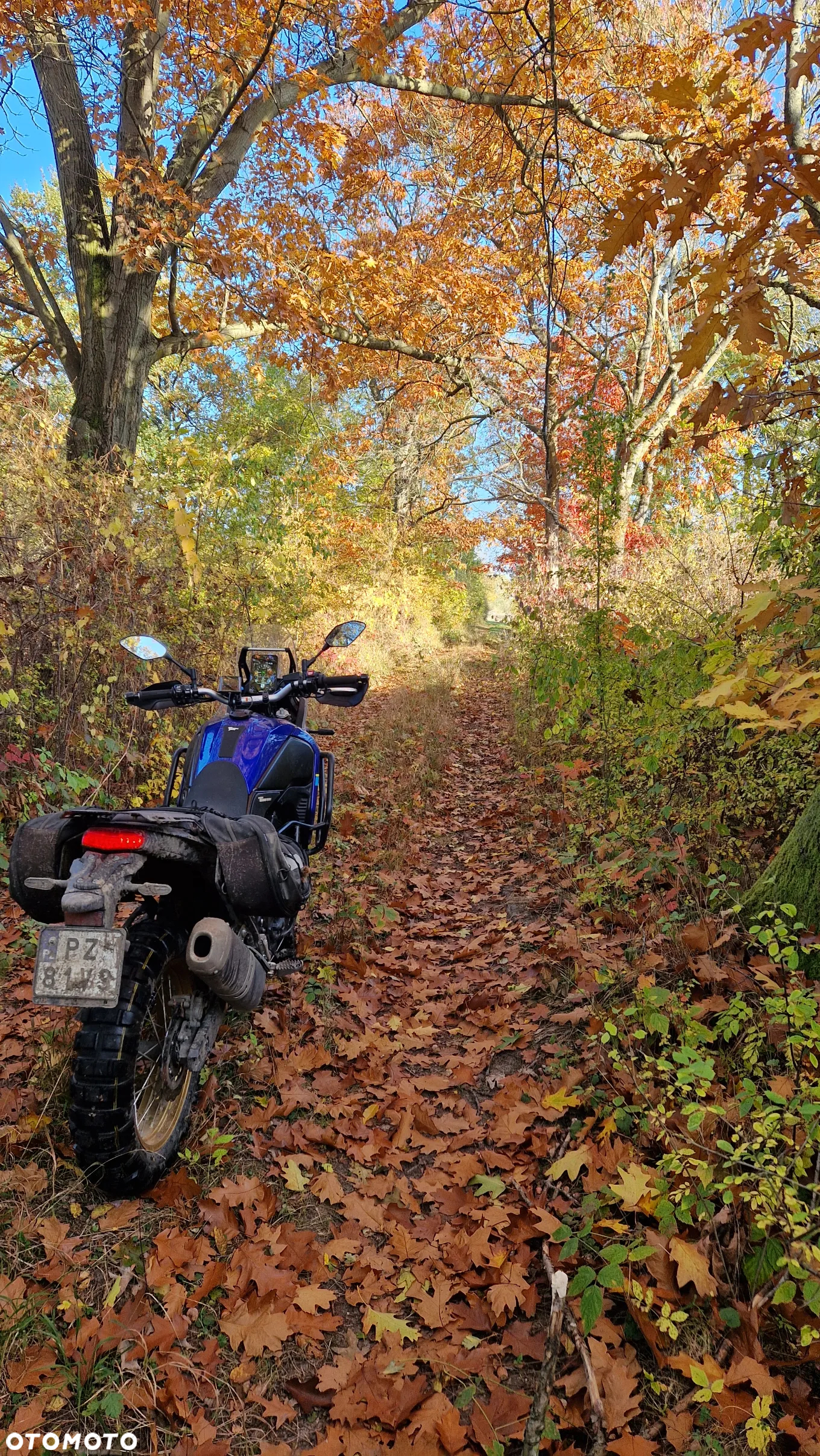 Yamaha XTZ
