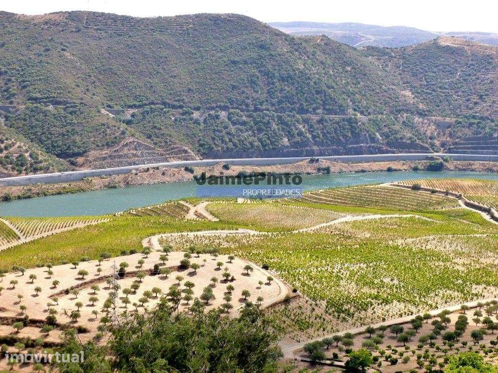 Quinta, Vinha, Casa, frente rio Douro. Portugal, Foz do Sabor, Torr... - Grande imagem: 2/8