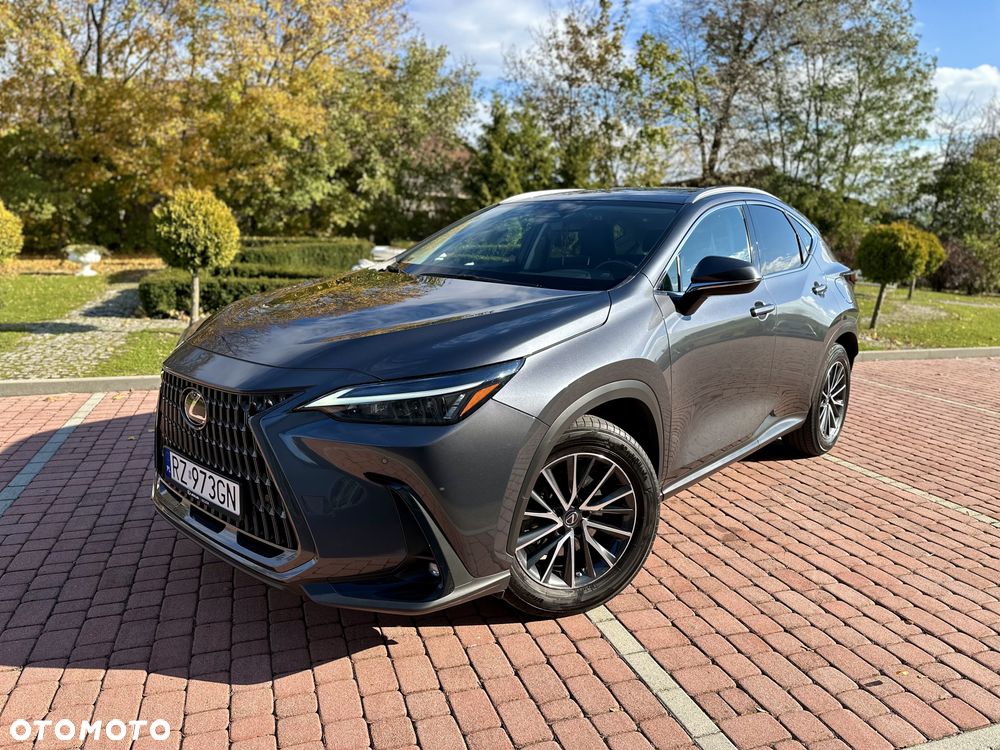 Lexus NX 350h Prestige 2WD - 7
