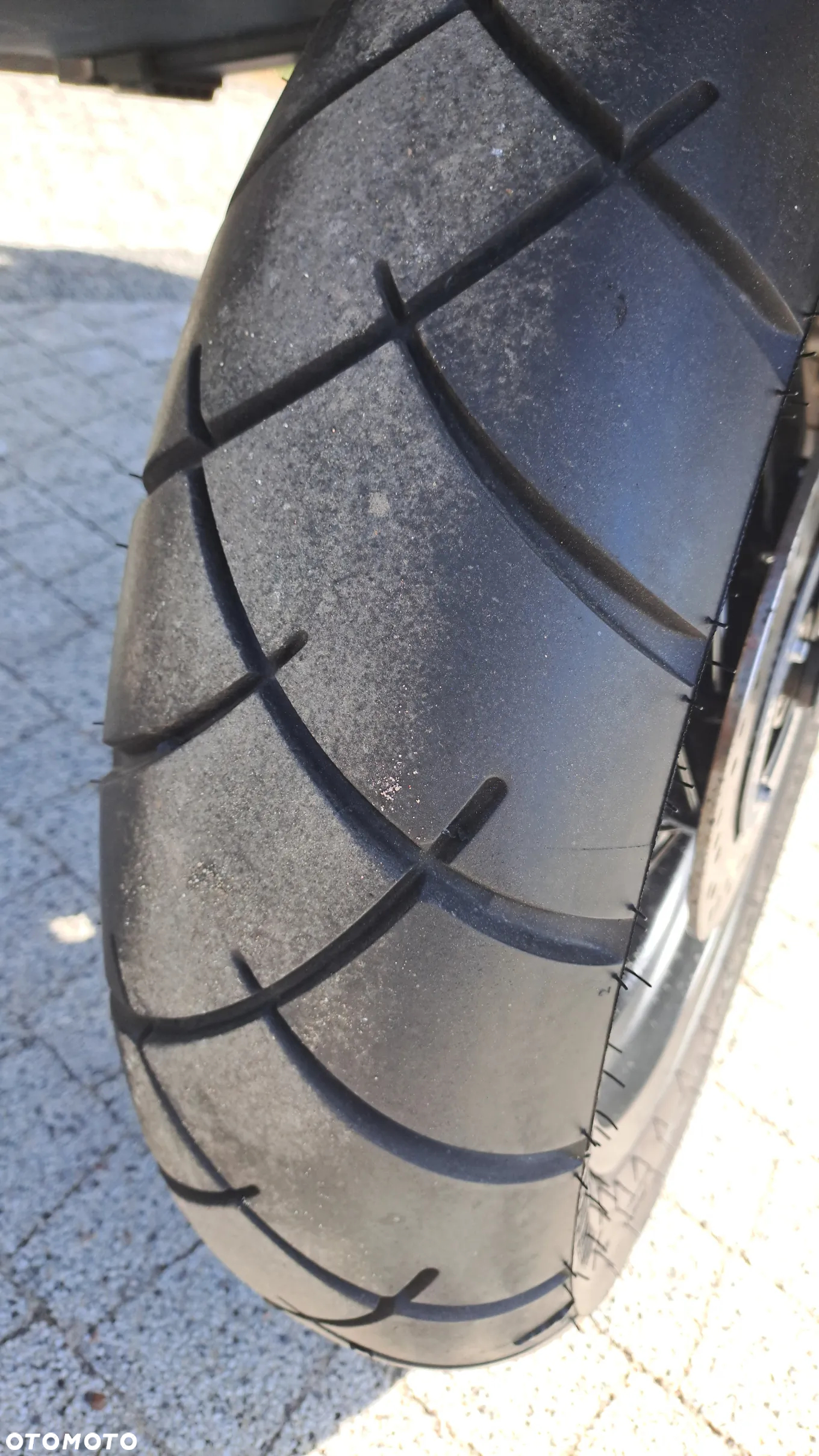 Triumph Tiger - 20