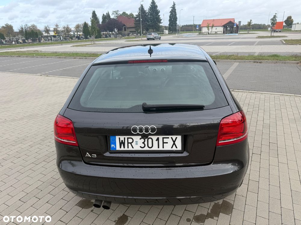 Audi A3 3-drzwiowe 1.9 TDI S Line Sportpaket plus - 6
