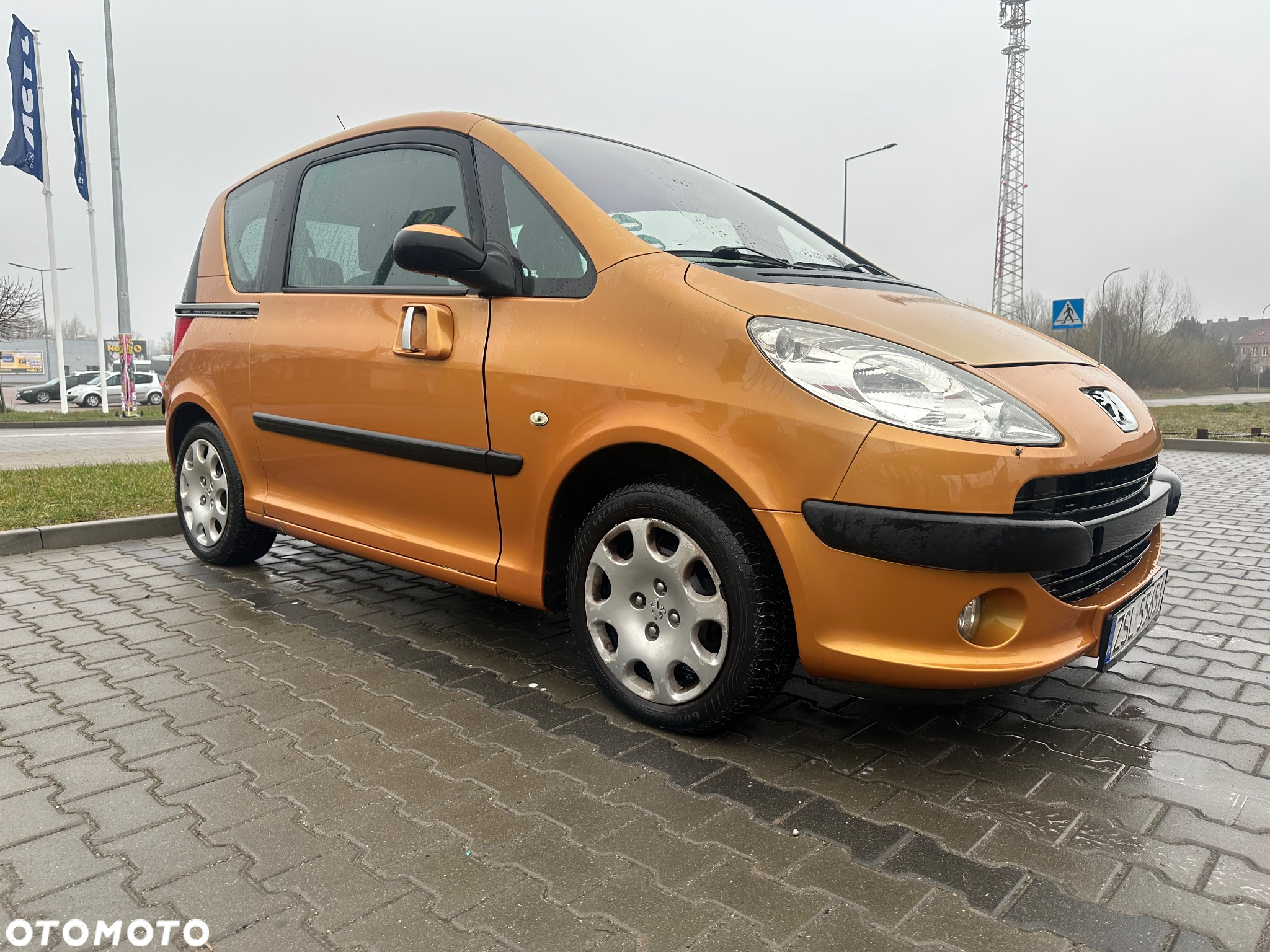 Peugeot 1007 - 4