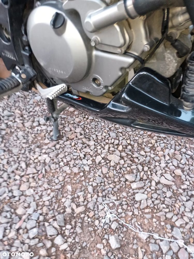 Suzuki DL - 19