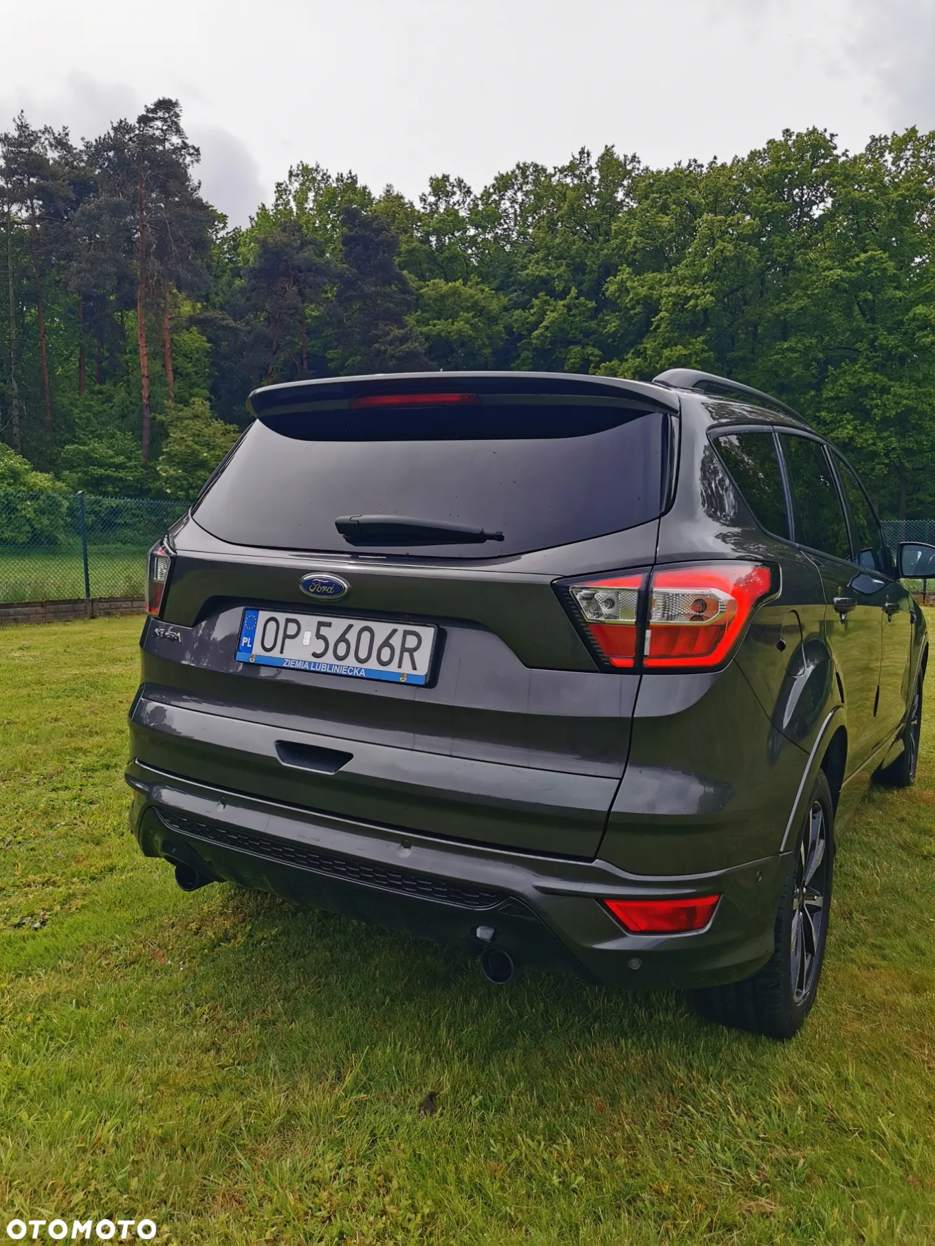 Ford Kuga 1.5 EcoBlue FWD ST-Line - 5