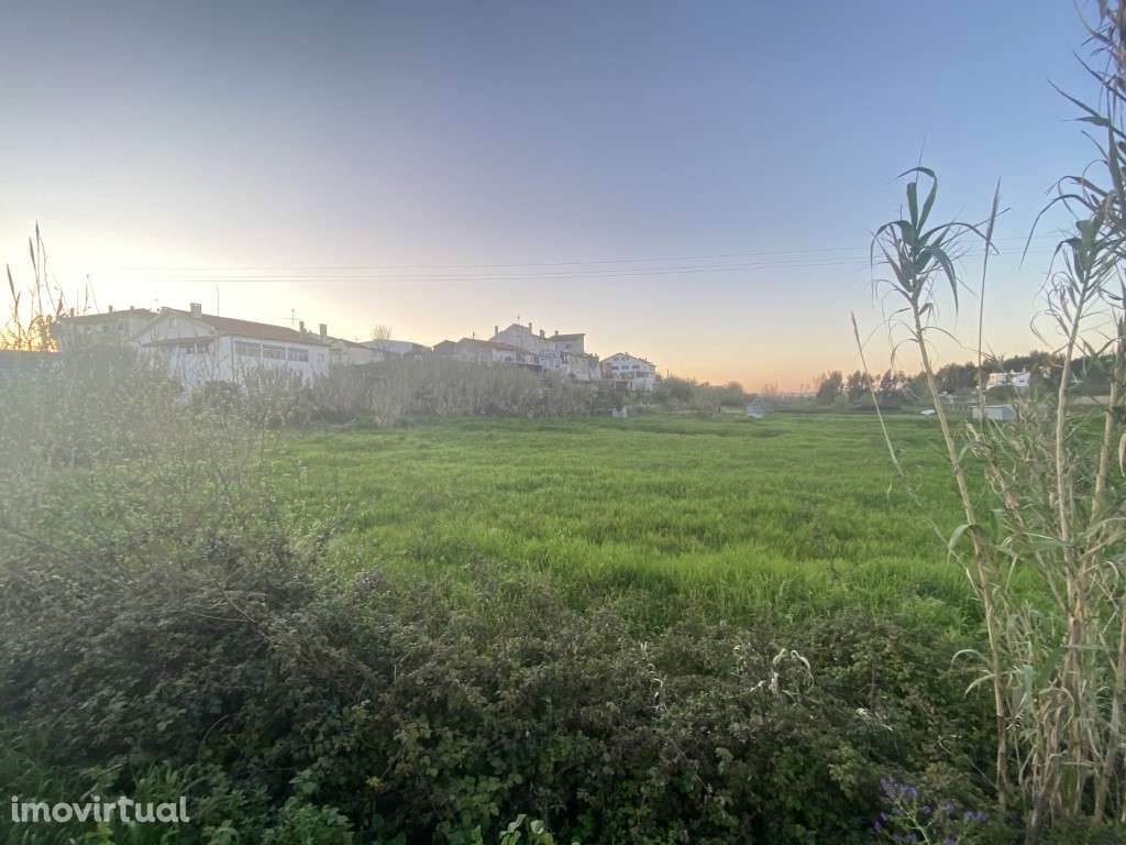 Terreno com 5.300 m² na Granja do Ulmeiro - Excelente Oportunidade! - Grande imagem: 3/8