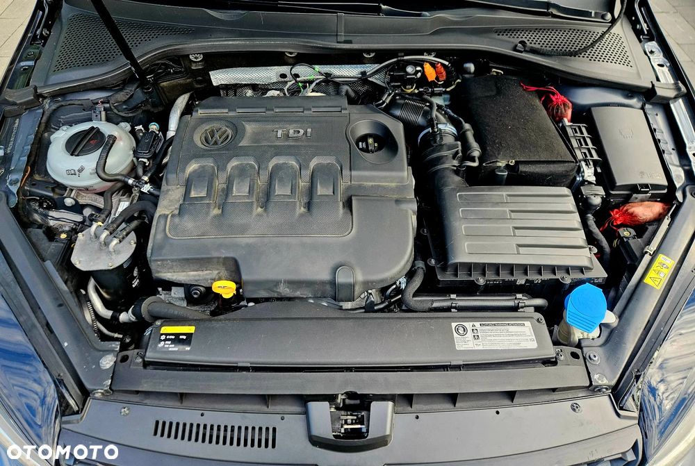 Volkswagen Golf - 24