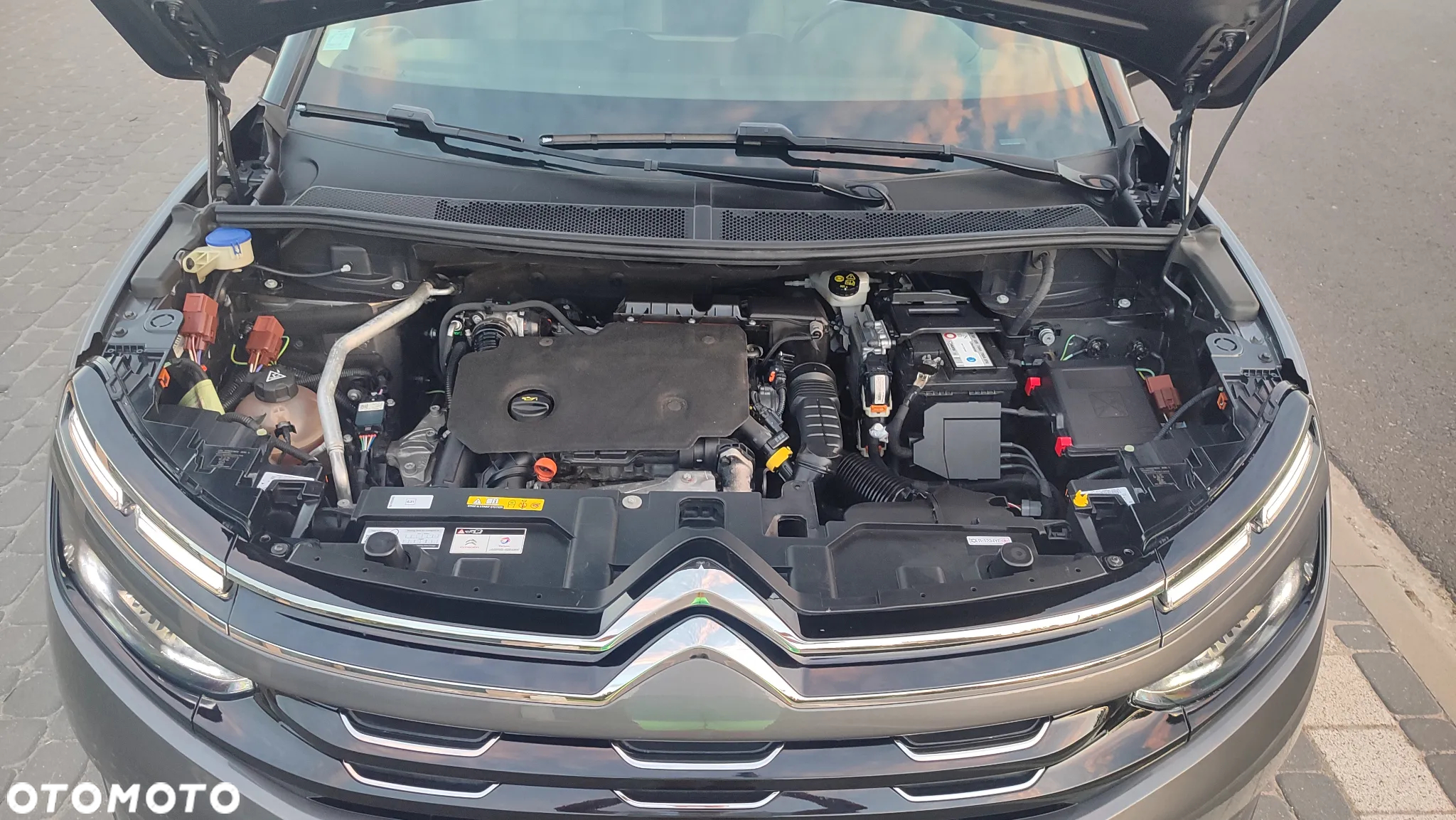 Citroën C5 Aircross 1.5 BlueHDi Shine EAT8 - 16