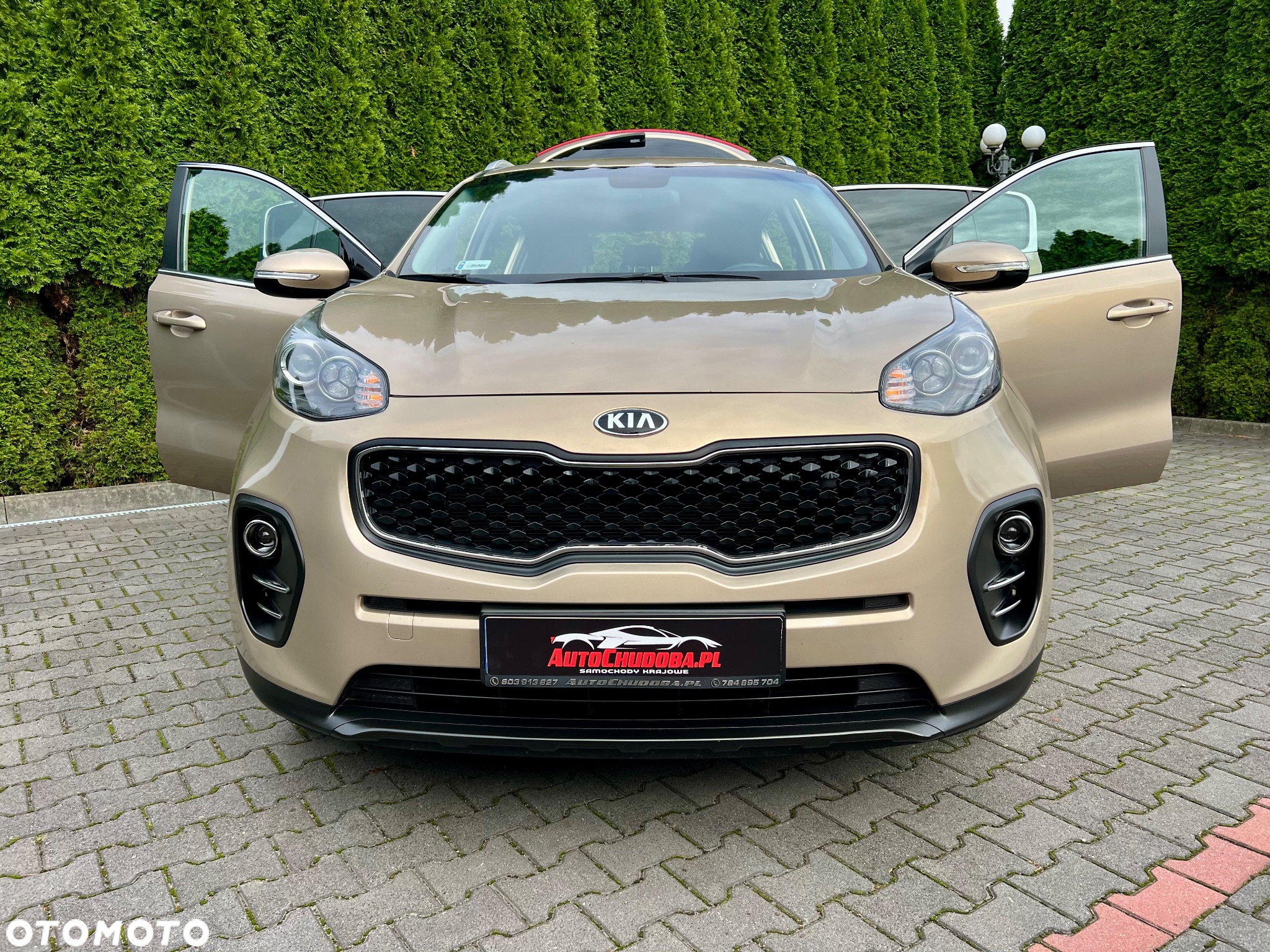 Kia Sportage 1.6 GDI M 2WD - 6