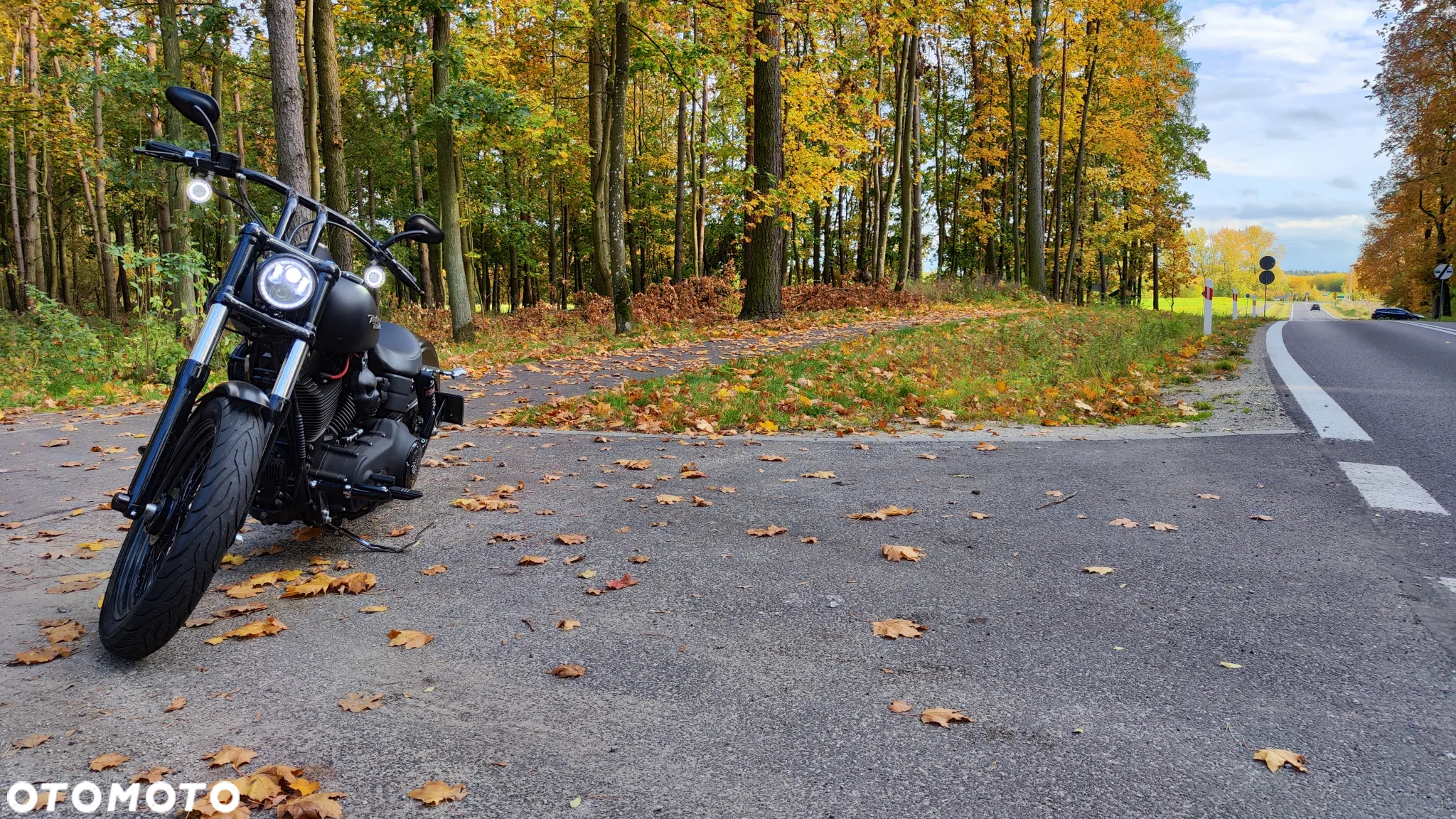 Harley-Davidson Dyna Street Bob - 5