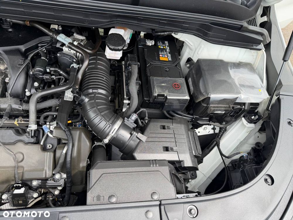 Kia Carnival - 39