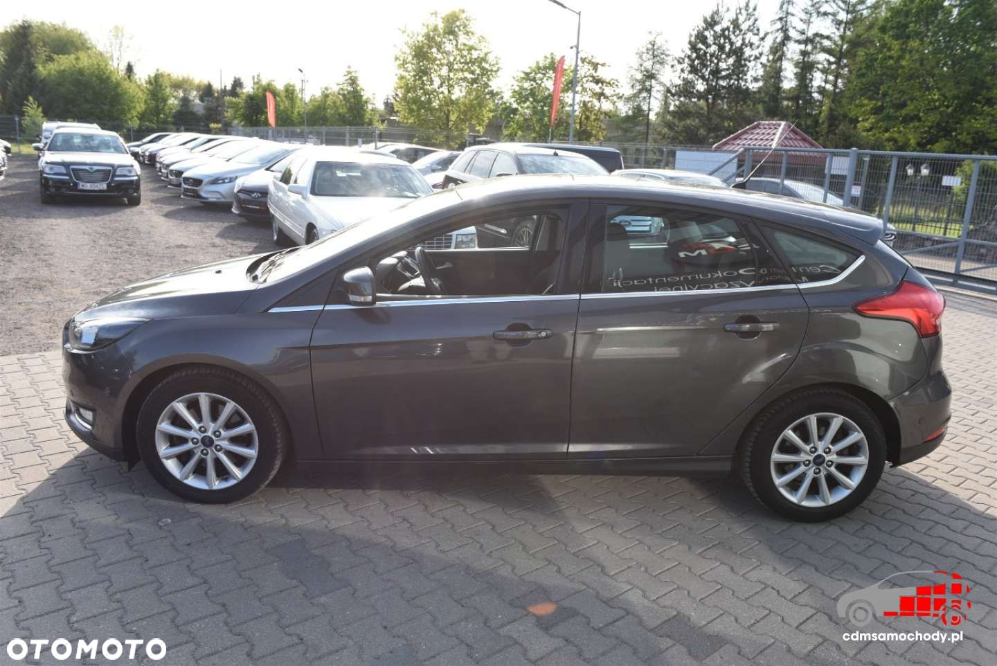 Ford Focus - 7