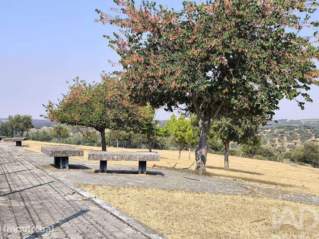 Prédio em Monforte de 4115 m2 - Grande imagem: 2/24