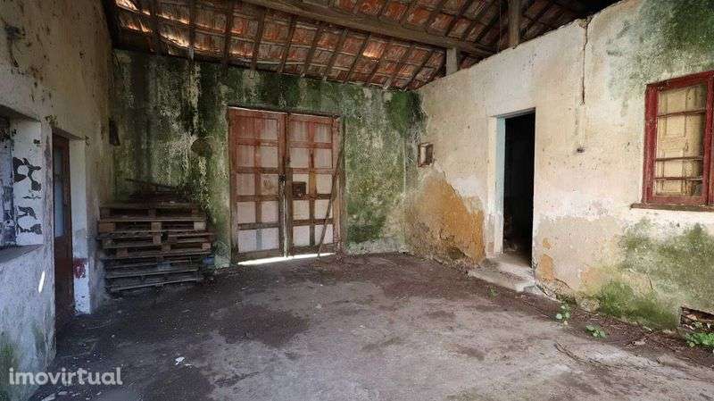 Moradia para Restauro com 4 Frações. Excelente Oportunidade em Anta - Grande imagem: 4/9