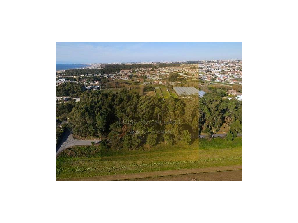 Terreno praia de Valadares - Vila Nova de Gaia - Grande imagem: 2/2