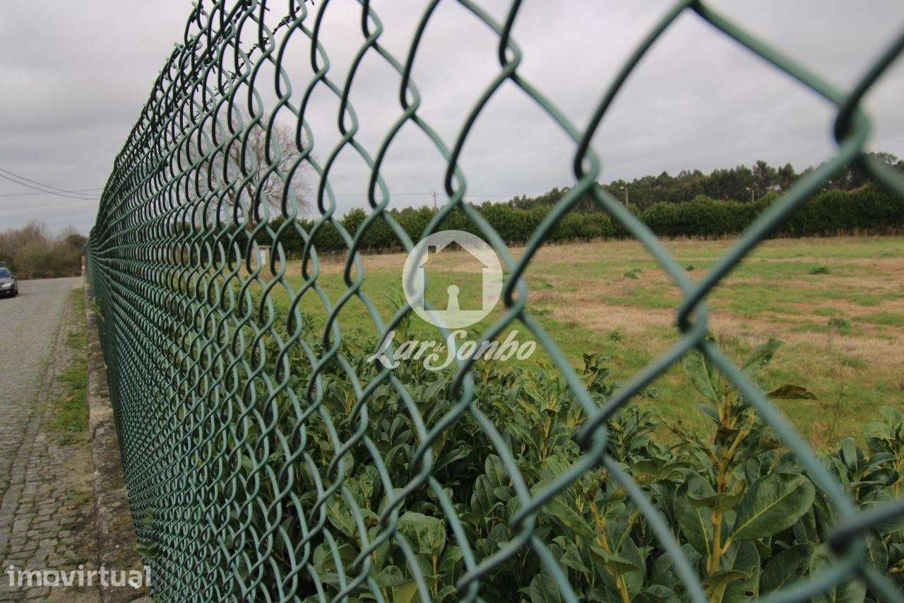 Terreno c/ área total de 8.500 m2 em Lama, Sequeiró Stº Tirso - Grande imagem: 4/4