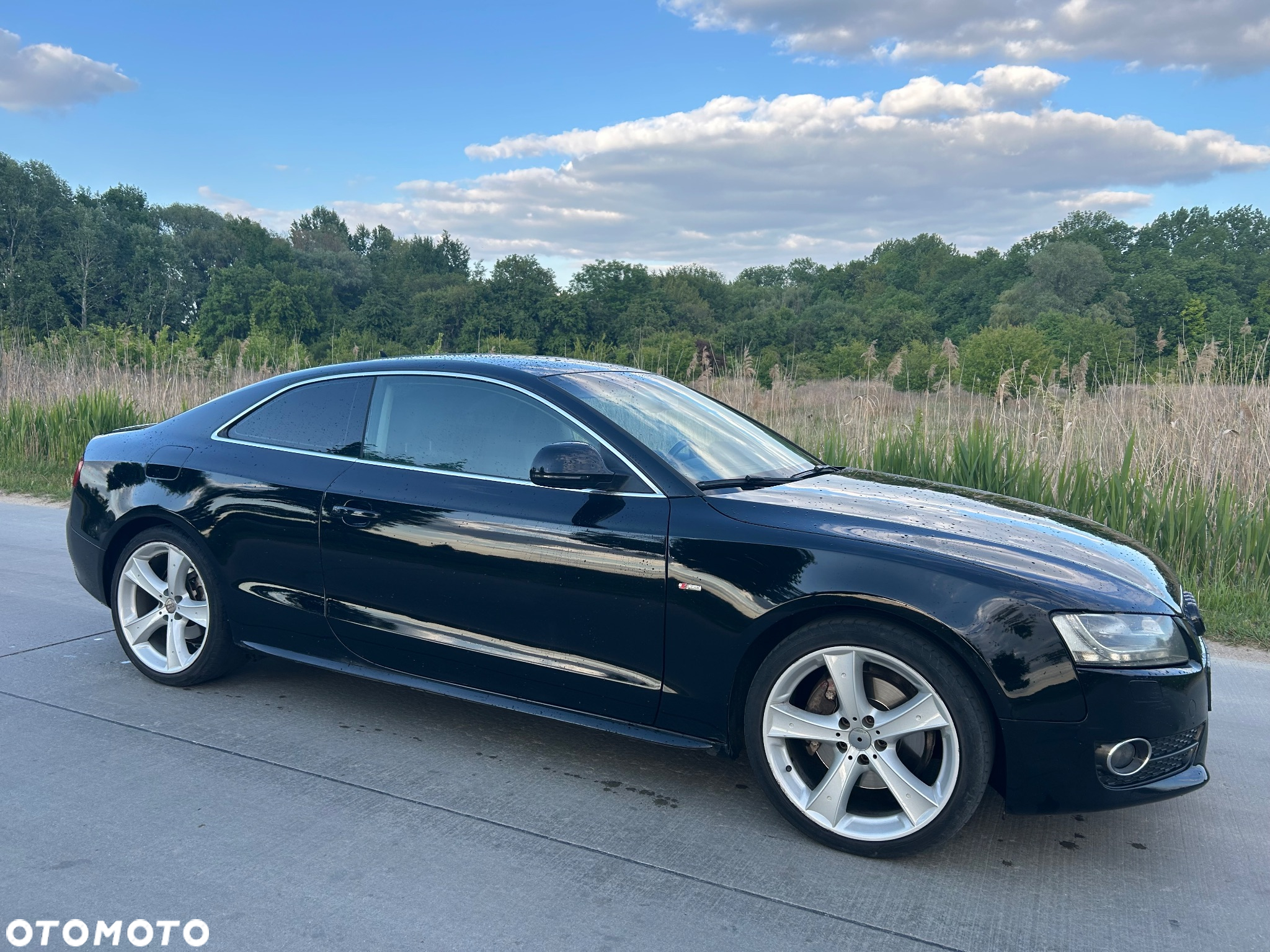 Audi A5 2.7 TDI Multitronic - 7