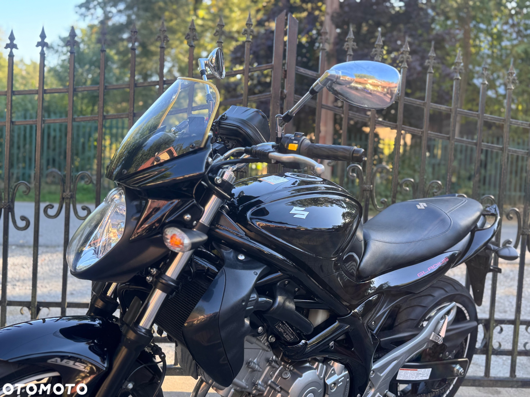 Suzuki Gladius - 18