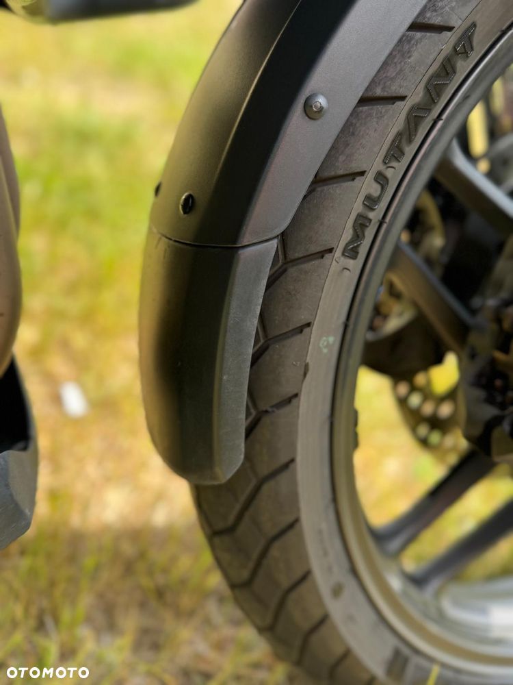 Triumph Tiger - 13