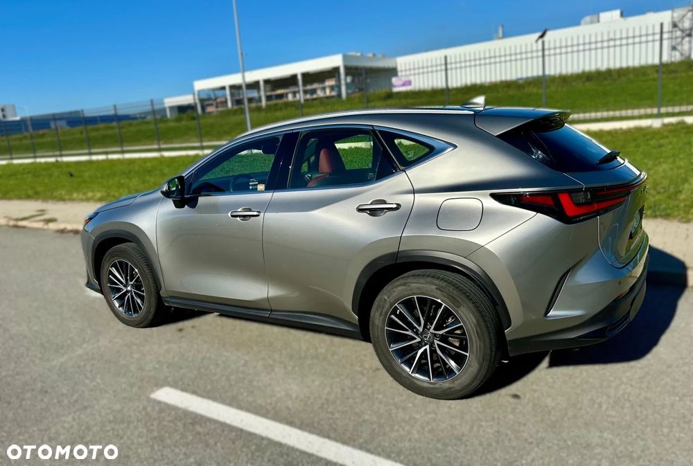 Lexus NX - 4