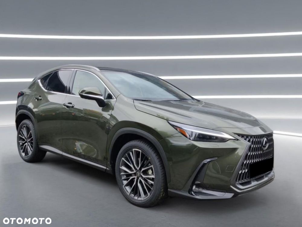 Lexus NX - 4