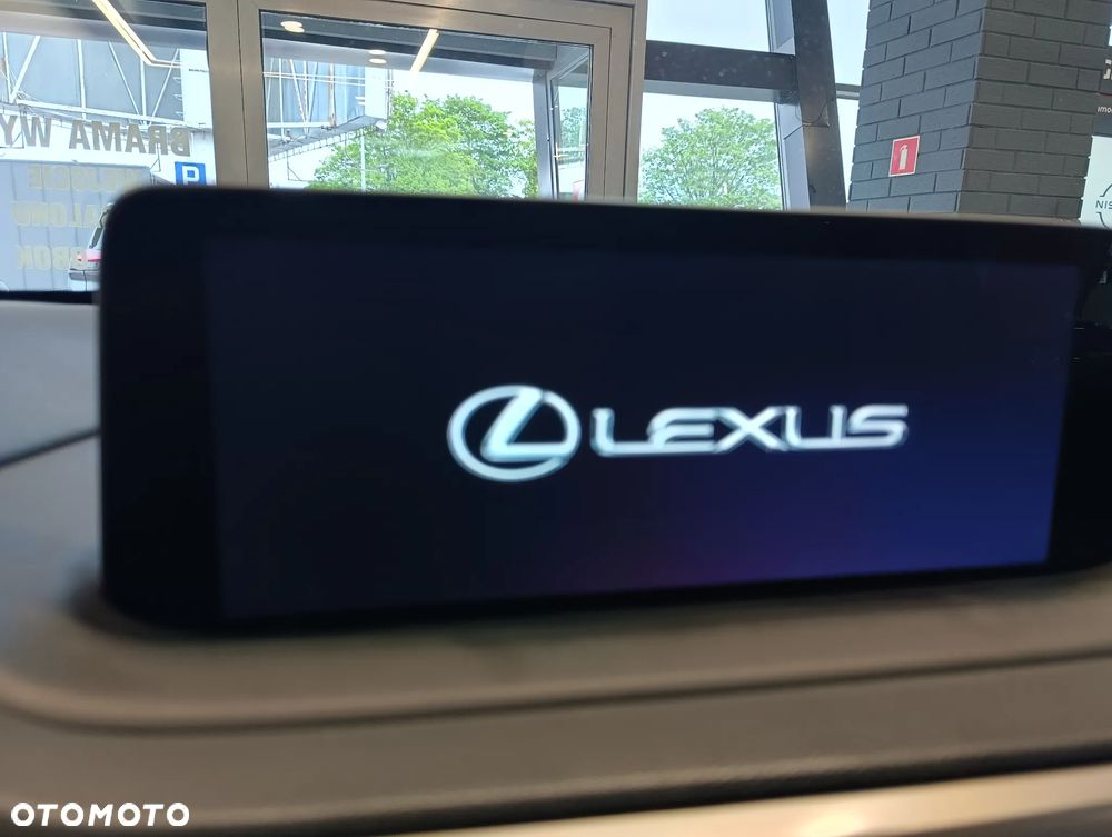 Lexus RX - 14