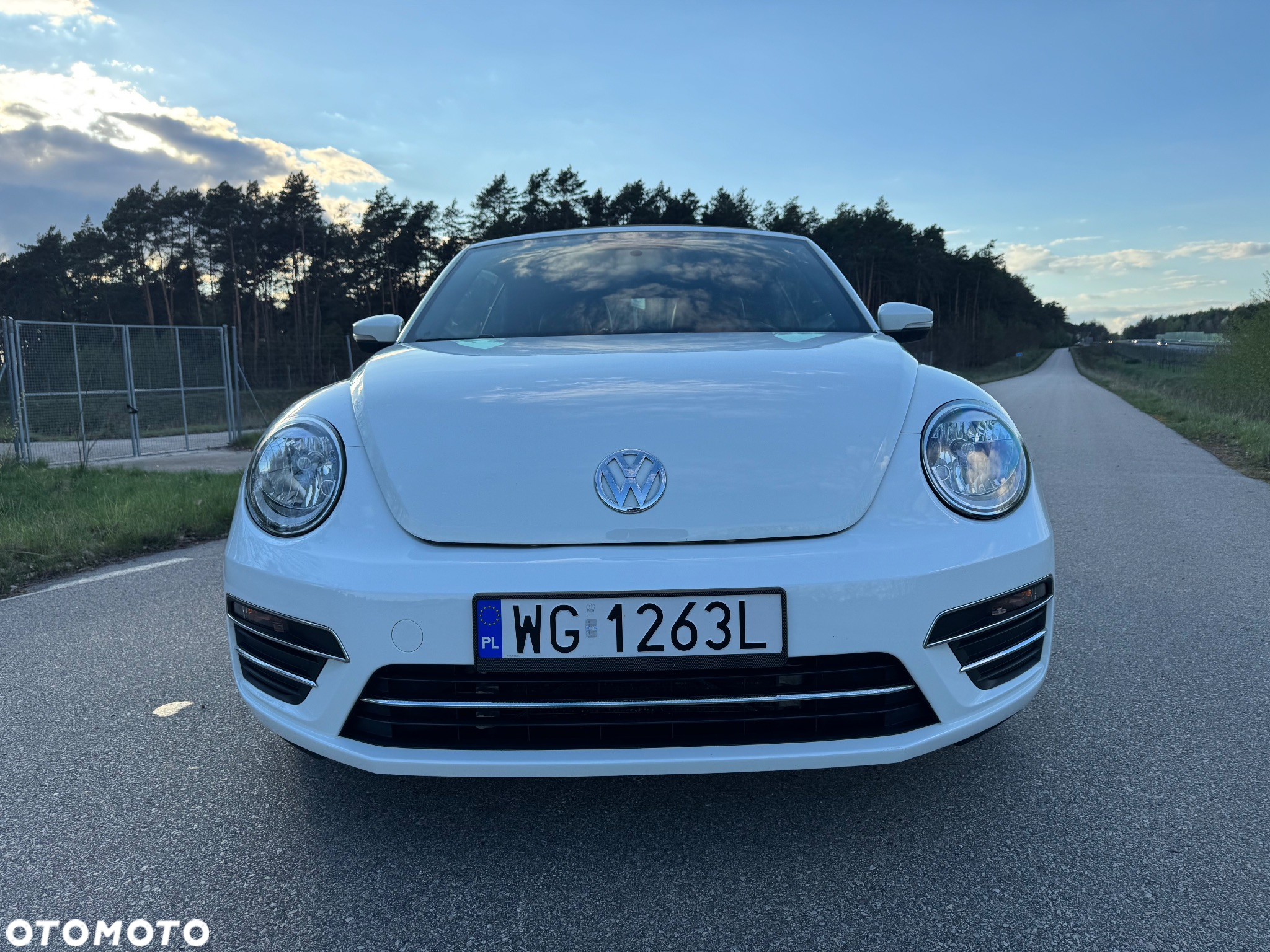Volkswagen Beetle - 4