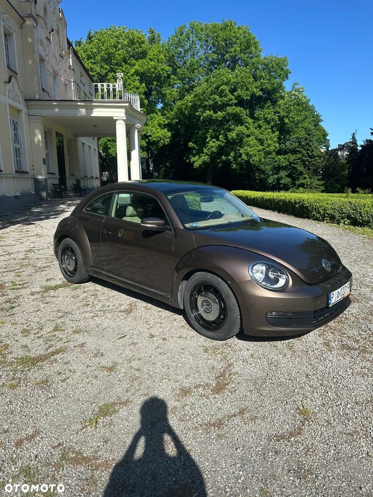 Volkswagen Beetle - 4
