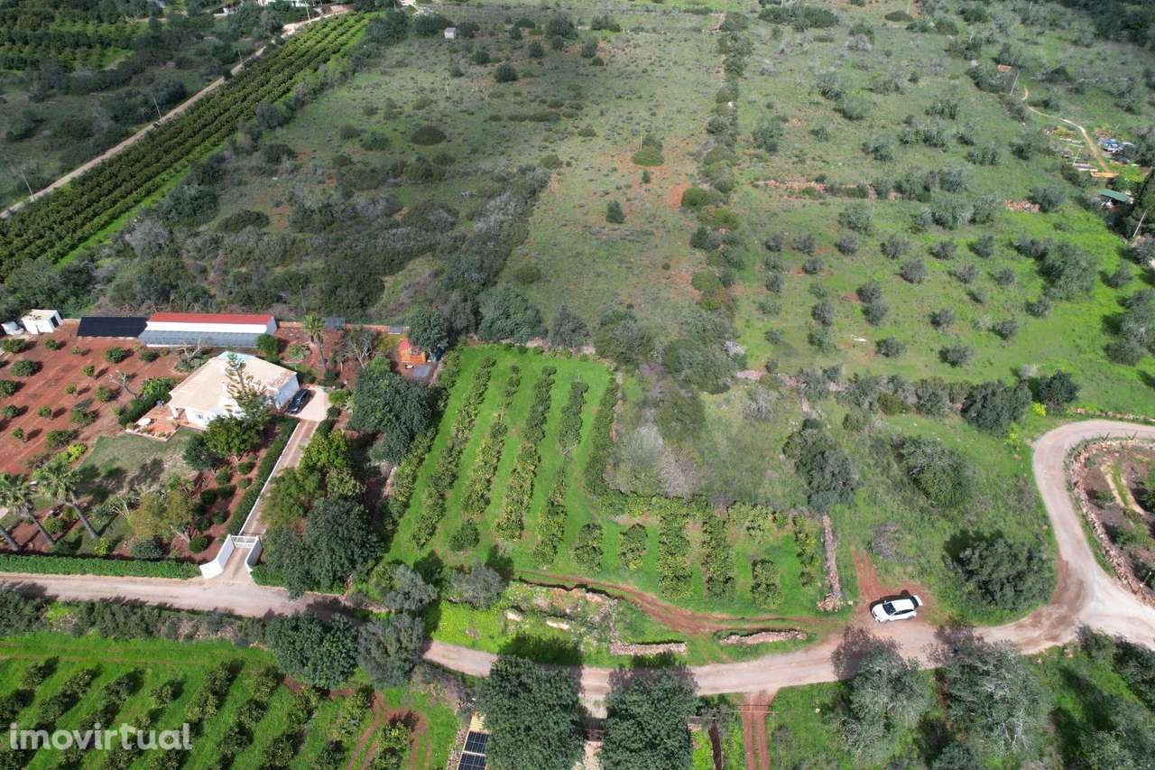 Silves – Messines – Carrascal | Ruína isolada com terreno | Construa a - Grande imagem: 2/19