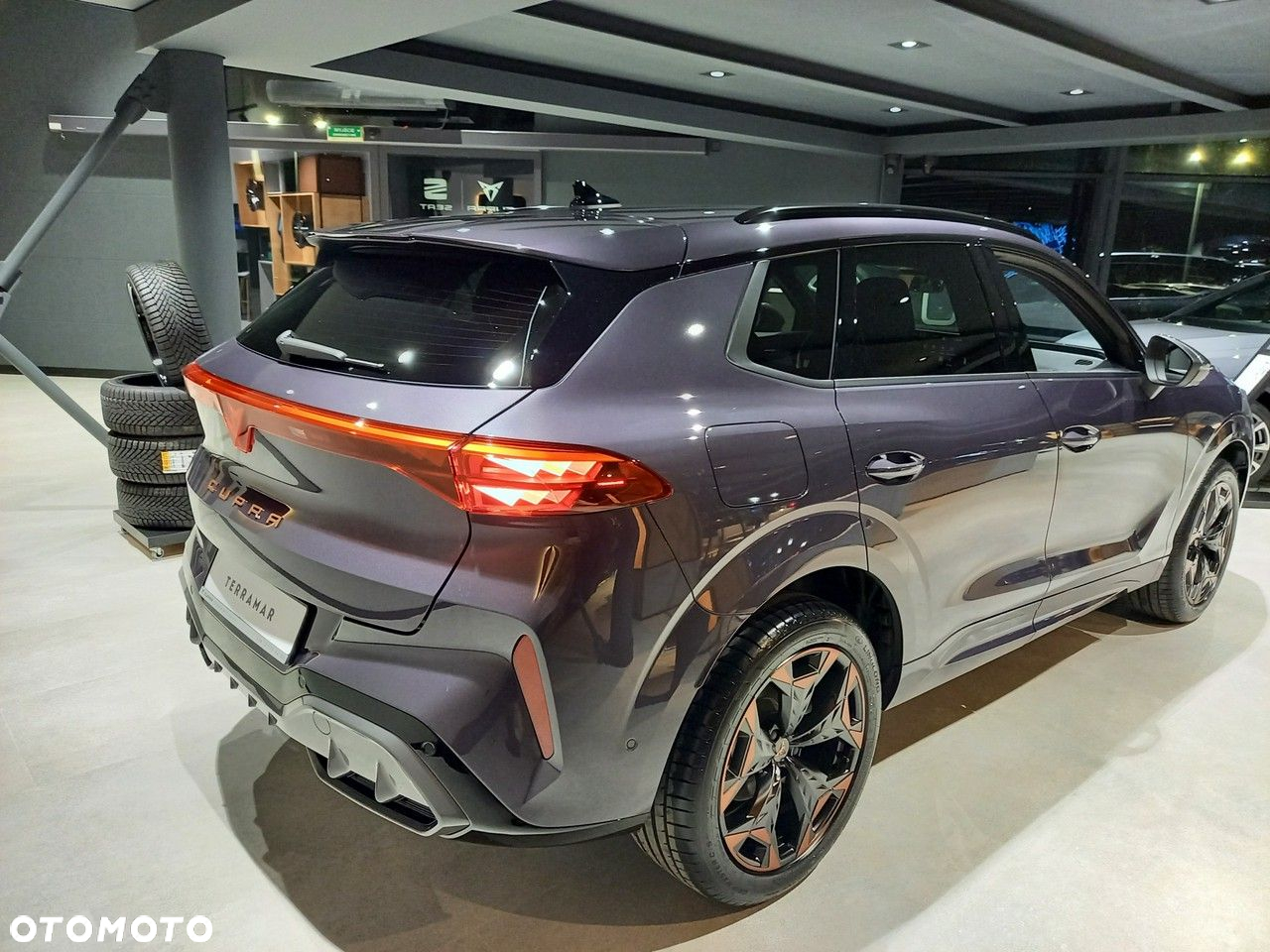 Cupra Terramar - 5
