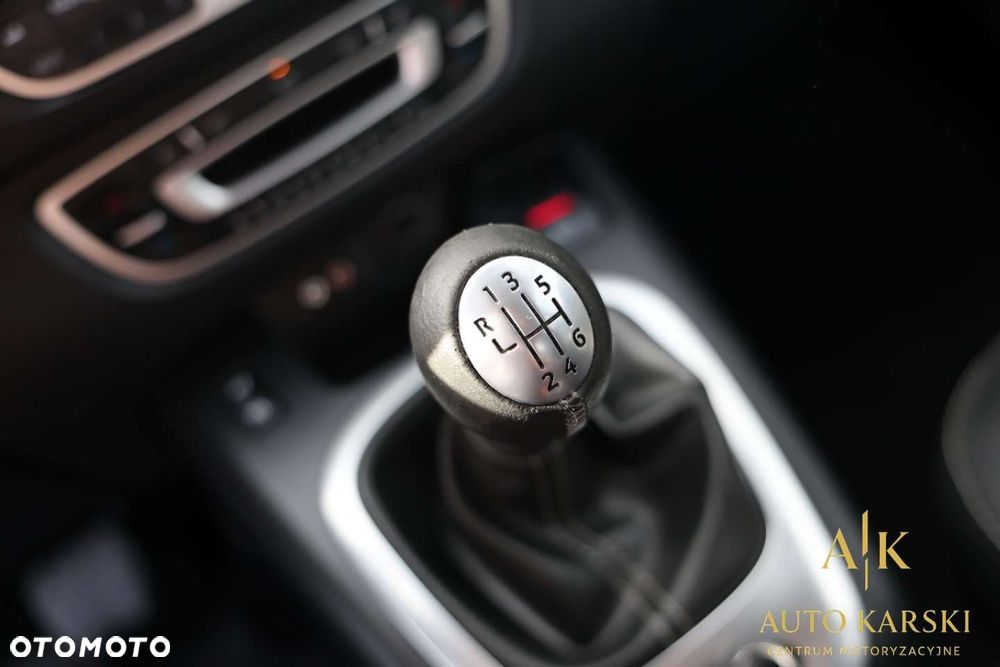 Renault Scenic - 25