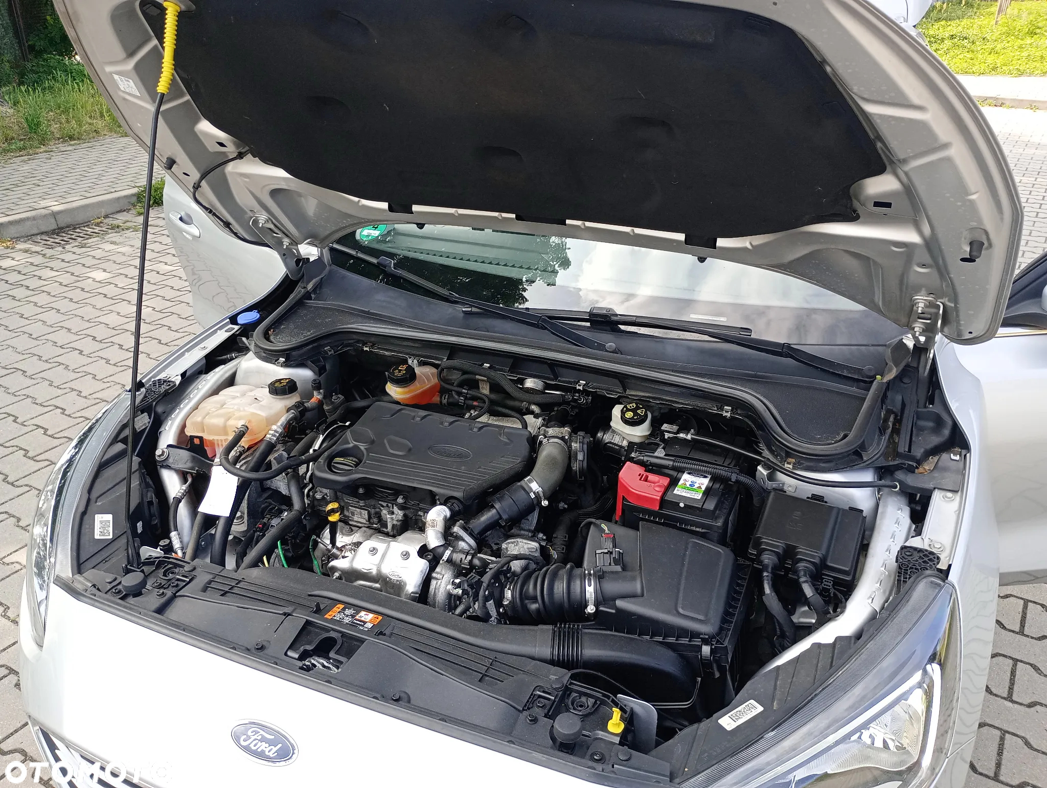 Ford Focus 1.5 EcoBlue Start-Stopp-System COOL&CONNECT DESIGN - 31