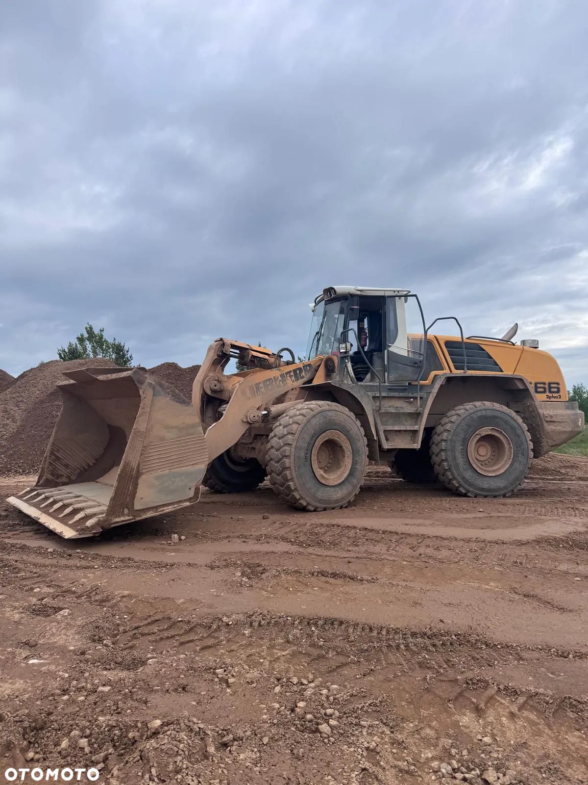 Liebherr 566 2+2 - 1