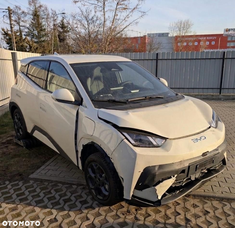 BYD Dolphin Surf 43.2kWh Comfort - 1