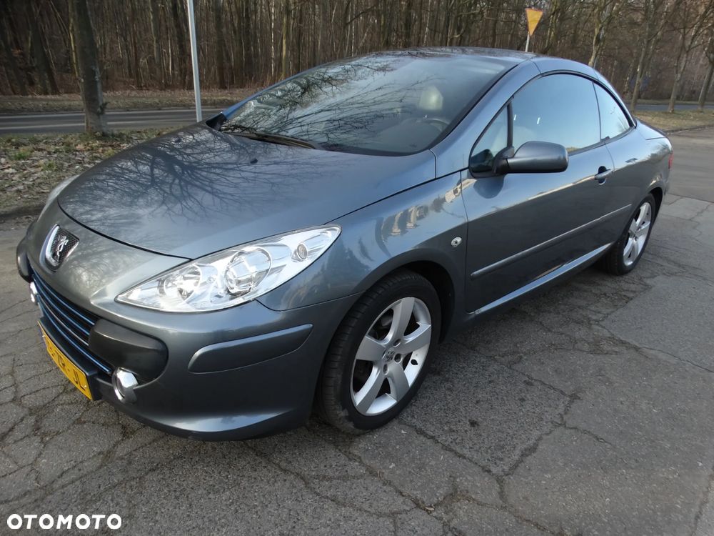 Peugeot 307 CC - 12