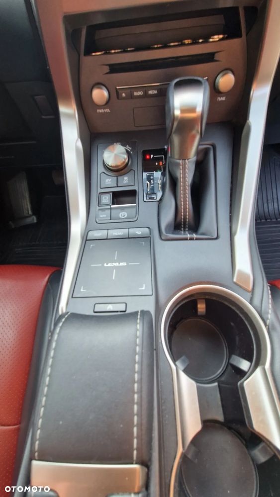 Lexus NX 300 Elegance AWD - 10