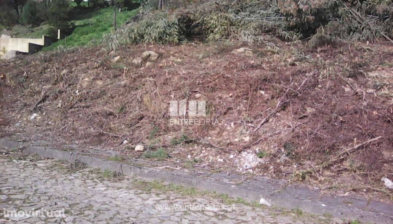 Lote de terreno, Venade, Caminha - Grande imagem: 2/2