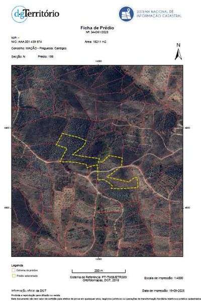 Terrenos em Mação/Cardigos  ( 3 propriedades) 1€ M2 c/Eucalipto 7 anos - Grande imagem: 2/4
