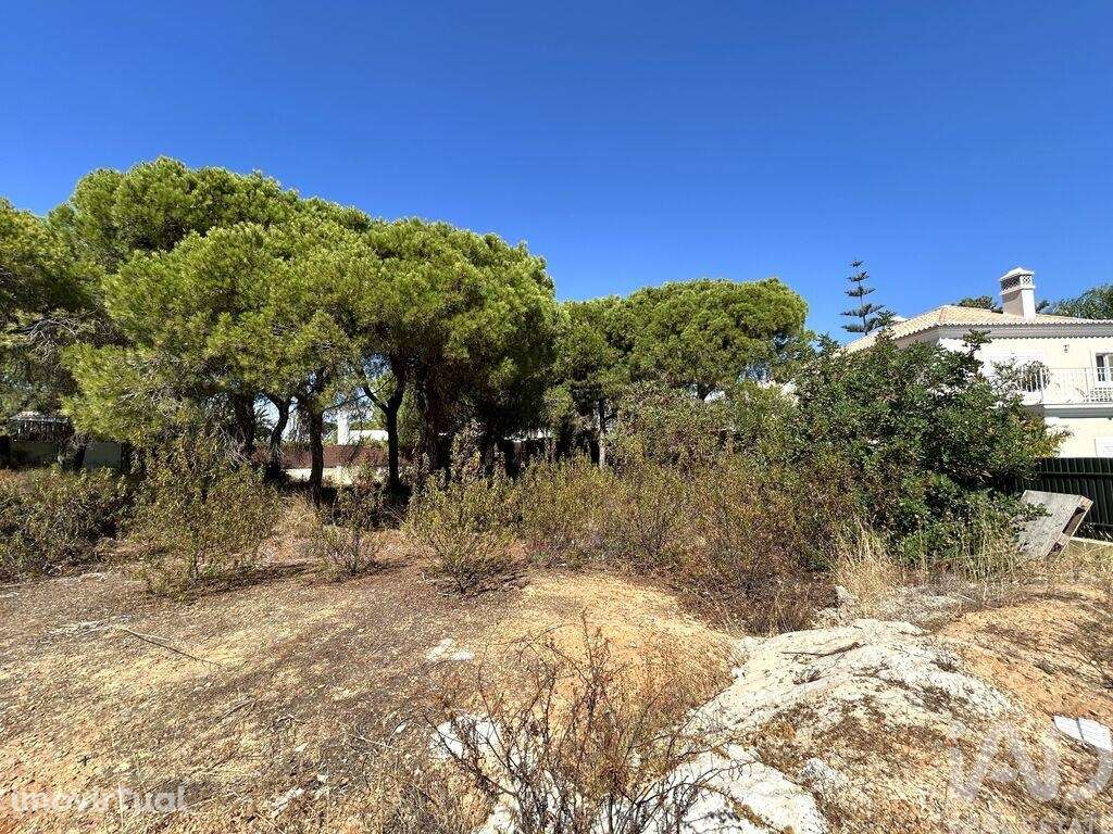 Terreno para construção em Almancil - Grande imagem: 4/7